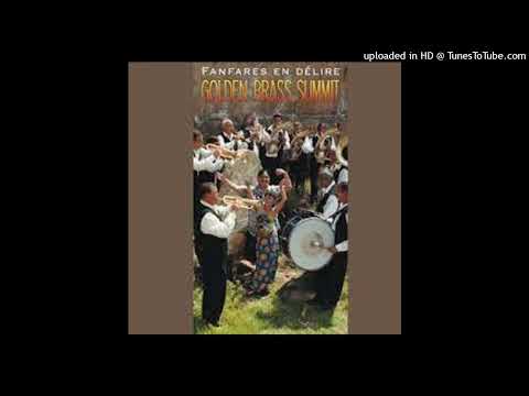Aca Novkovic Orchestra - Juzno-Moravsko Kolo