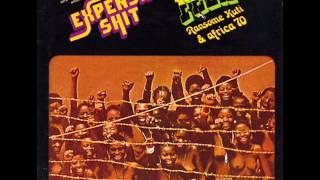 Fela Kuti - Expensive Shit (afrobeat)