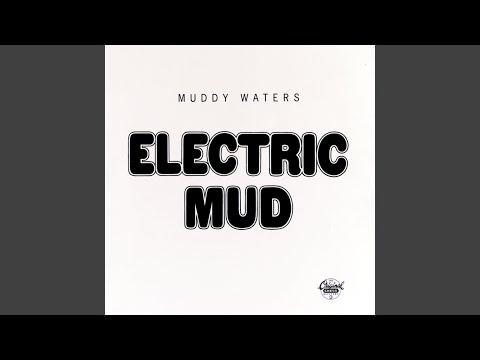I Just Want To Make - Muddy Waters