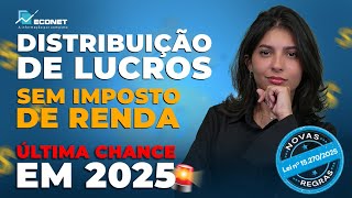 Profit and Dividend Distribution: What to Do in 2025 to Avoid Paying More Tax in 2026