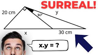 O DESAFIO DE GEOMETRIA QUE EXIGE O TRAÇADO CORRETO