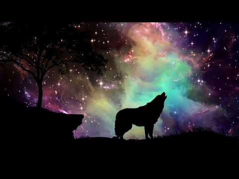 Toivo Asmer - Üksik hunt