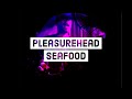 Seafood - Pleasurehead (Acoustic Cover)