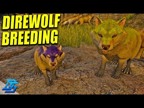 DIREWOLF BREEDING MUTATIONS! - Ark Survival Evolved Gameplay - Part 17