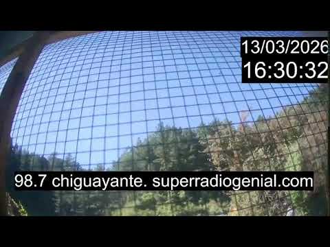 Chiguayante Bio Bio Chile, en Vivo. Live Cam, Camara en vivo.
