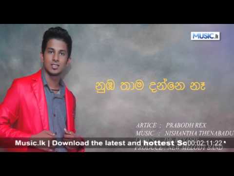 Numba Thama Danne Ne - Prabodh Rex