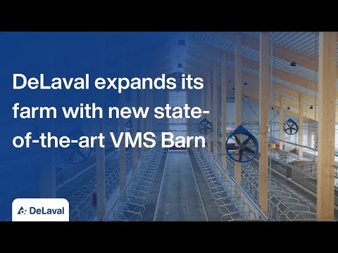 Hamra Farm VMS Barn opening | DeLaval