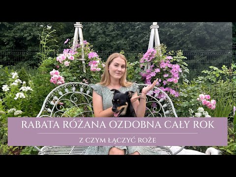 A decorative rose bed all year round | a walk through the rose garden | what to plant with roses