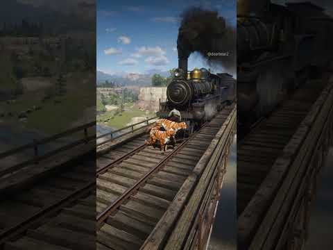 p548 Simulate great survival skills , #shorts