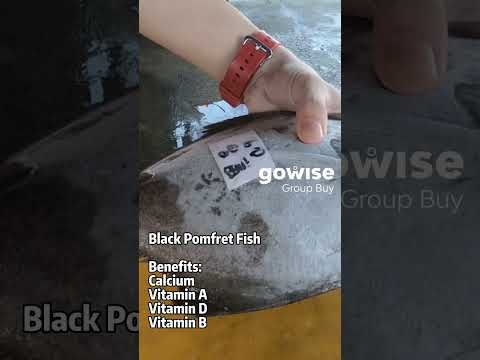 Black Pomfret Fish - Medium Size (400-600g) x1 Piece