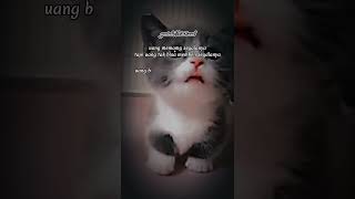 Download lagu kutipan kata bijak kucing🐱story wa keren😎@EmRuudstory #storywa #motivation #animals #shorts mp3