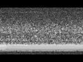 No signal noise effect. 