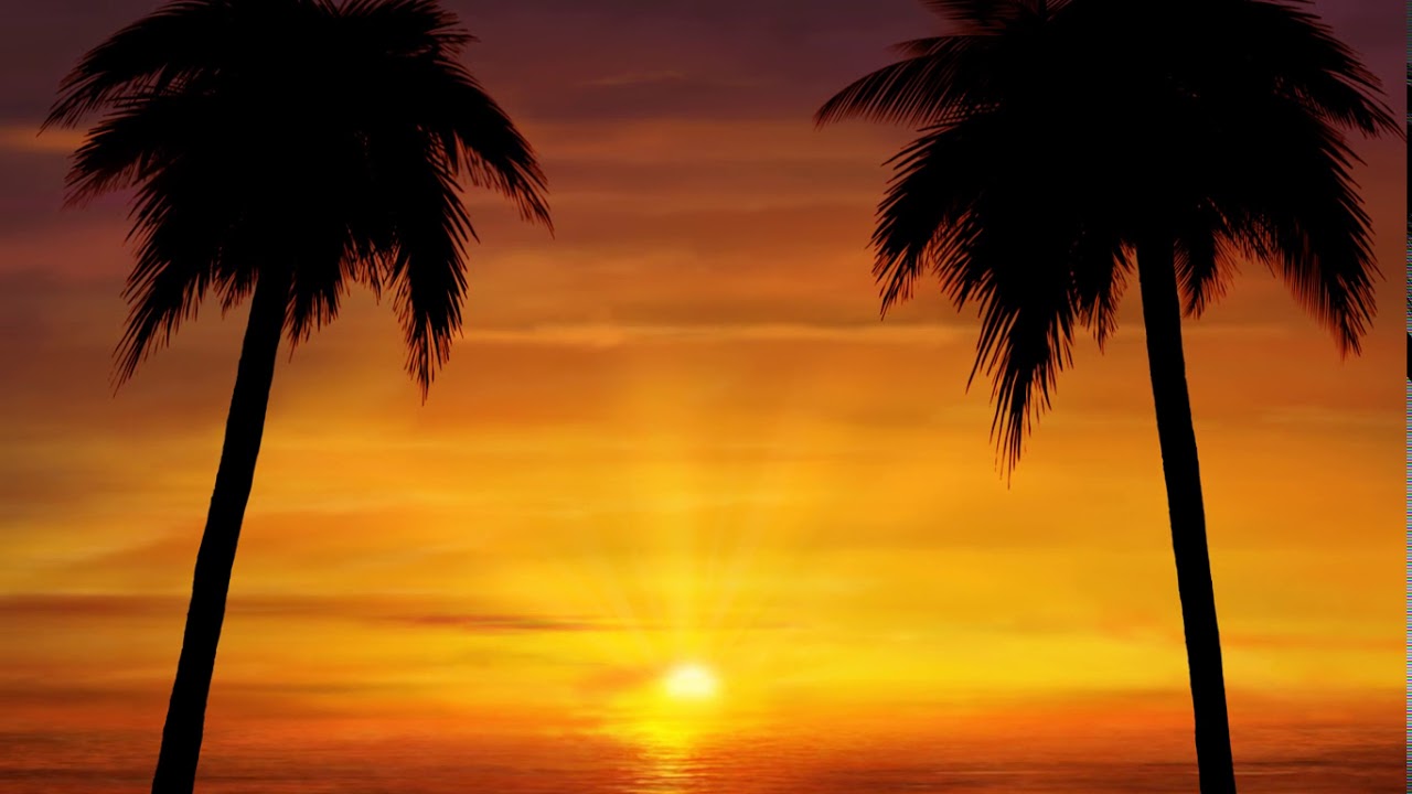 Palm Tree Sunset 2