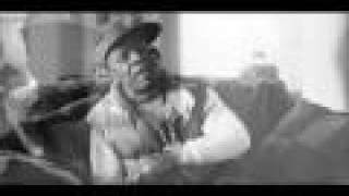 Plies - Family Straight