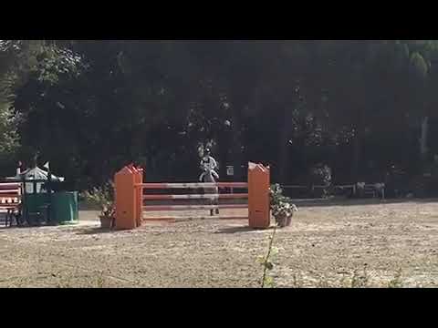 Miracolo Sardo - C135 mista - Luglio 2018 Cervia