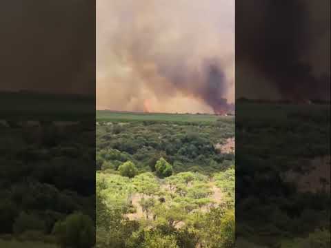 Se declara ALERTA ROJA para la comuna de #Curepto, región del Maule, por Incendio Forestal.