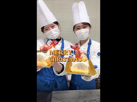 【目白短大】製菓学科のクリスマスケーキ　#shorts