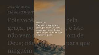 Tudo pela Glória Dele