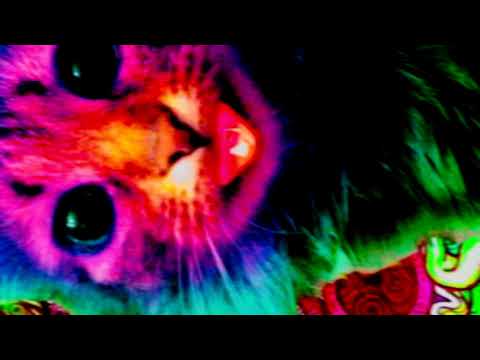 Eazy Mac ft. Yellowbunny - See Me Fall LYRICS!