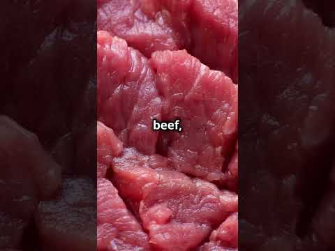 How to Create a Balanced Fresh Meat Diet for Your Dog 🐶 #Dog #Dogs #doghealth