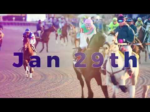 The Complete Guide to Betting on the Pegasus World Cup