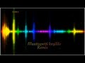 Mattupetti Koyilile Remix DJ RE3 Trance Beats Remix