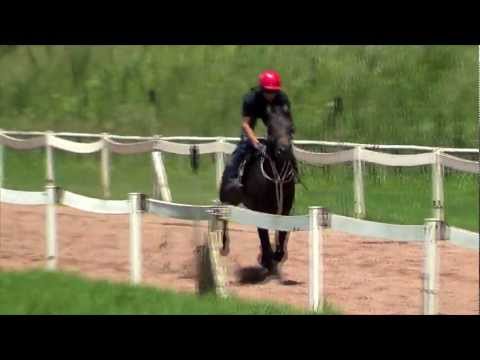 TGRS-II Delamere trackwork