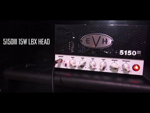 Experience the EVH Lunchbox Head