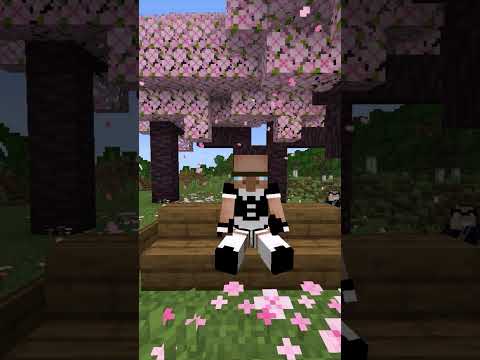 Join my 1.20 Minecraft SMP Server! IP: play.jimmysmp.net