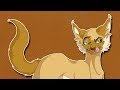 The Mind Of Sleekwhisker Warrior Cats