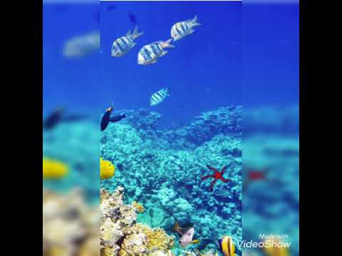 اجمل المناطق السياحية في مصر👌