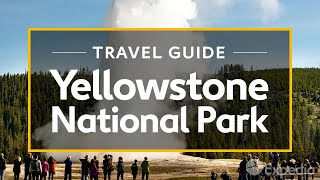 Yellostone National Park