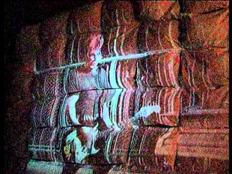 Dzukele - San (Official Video)