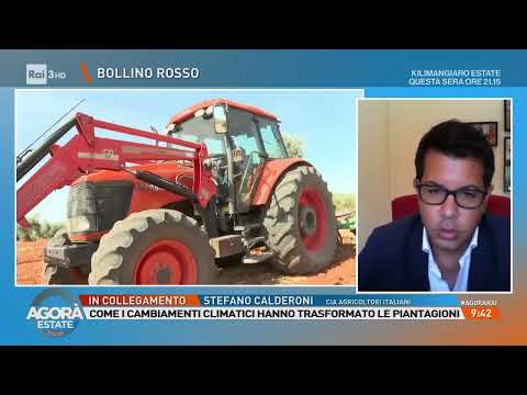 RAI 3 AGORA' ESTATE - Intervento su siccità di Stefano Calderoni, Cia