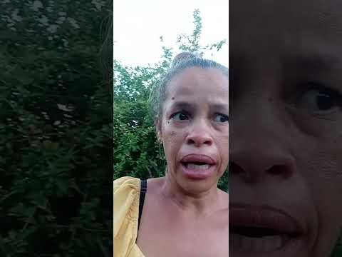 Campanha de castração na região de jacaré dos homens Alagoas URGENTE!!!!