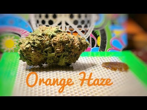 download lagu mp3 mp4 Orange Haze, download lagu Orange Haze gratis, unduh video klip Orange Haze