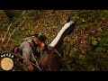 RDR 2 Funny Encounter