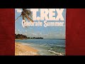 MARC BOLAN & T.REX / TAME MY TIGER  1977