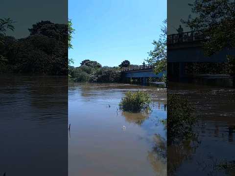 ta cheio Rio capivari do Sul #shorts #capivari #quintão #rio#enchente #enchentes #riograndedosul