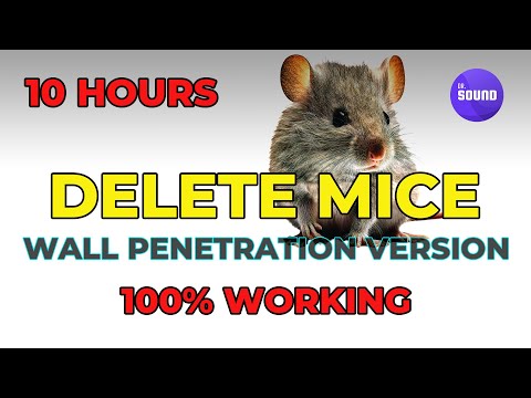 Mouse Repellent Noise - Wall penetration version (No mid-roll Ads.) | Ultrasonic Rat Repellent Sound