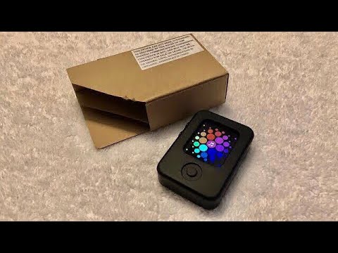 Prototype Apple Watch - Security Case (PVTe Stage) - Apple History - Apple Demo