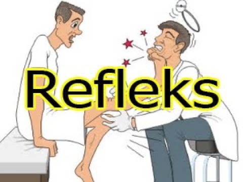 download lagu mp3 mp4 Refleks Nedir, download lagu Refleks Nedir gratis, unduh video klip Refleks Nedir