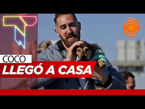 Video: Final feliz: después de una semana varado en Ezeiza, Coco llegó a su casa en Córdoba