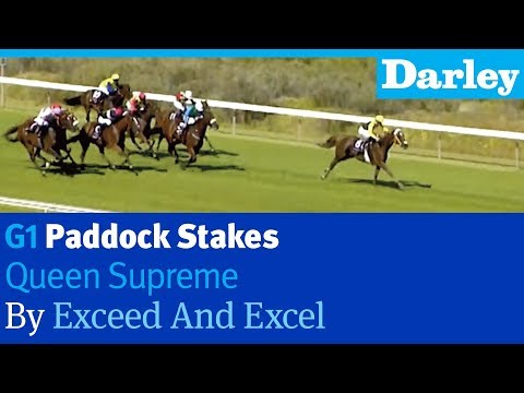 Queen Supreme by Exceed And Excel wins the G1 Paddock Stakes at Kenilworth