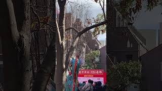 本日、横浜中華街の春節祭に行ってきました😊👍💞すごいたくさんの人たちで、歩くのも大変でした😅😅😅スリに交通系電子マネーを盗まれてしまったので、行く人たちは注意⚠️するように。#横浜中華街#春節祭#スリ