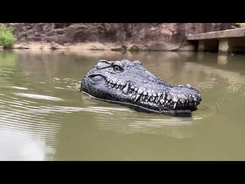 This AMAZING Flytec V005 crocodile RC boat is good to prank. Anyone is going to scared.