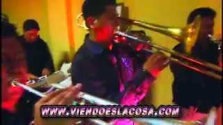 LA NUEVA RUMBA 2026 - TE ECHE AL OLVIDO