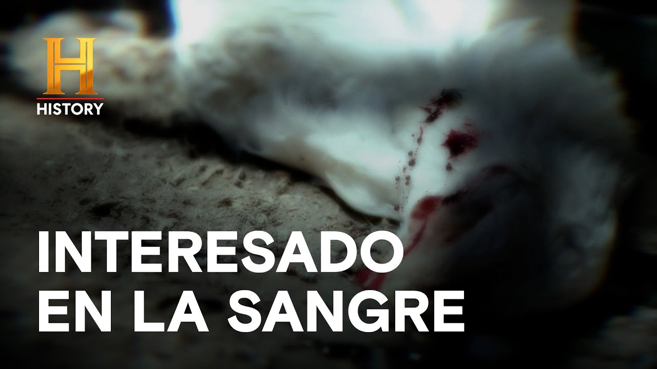 INTERESADO EN LA SANGRE - INEXPLICABLE CON WILLIAM SHATNER