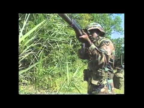 Banned Weapons: "Arrow" Rifle - AAI Advanced Combat Flechette Rifle