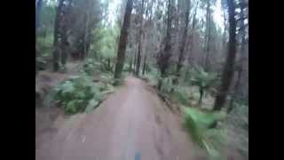 preview picture of video 'Mountain Bike Rotorua, NZ - Huckleberry Hound'